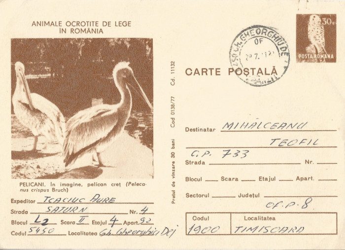 *Romania, Pelicani, carte postala circulata intern,1981