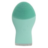 Cumpara ieftin Aparat de curatare fata 2 in 1 Esperenza, 1200mAh, IP67, 230V, 8 x 3,5 x 13cm, verde