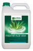 Odorizant ecologic concentrat 5L | Fresh air Aloe Vera| Action Pin