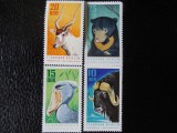 Serie timbre fauna animale zoo nestampilate Germania DDR filatelice postale, Nestampilat