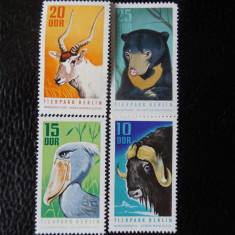 Serie timbre fauna animale zoo nestampilate Germania DDR filatelice postale