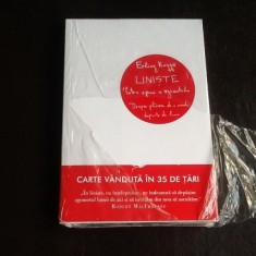 Liniste intr-o epoca a zgomotului - Erling Kagge