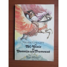 Nicolae Cojocaru - Fat Voinic si Domnita cea Frumoasa