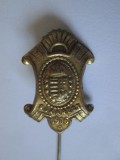 Cumpara ieftin Rară! Expozitia Generală Rom&acirc;nă Bucuresti 1906 insignă delegat/expozant Ungaria