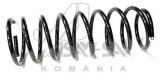 Arc Suspensie Fata Dacia Berlina 41095 30046