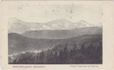 CP SIBIU Hermannstadt Carpatii Transilvaniei pojana rodindra bei bistritz 1917, Circulata, Fotografie