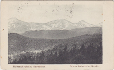 CP SIBIU Hermannstadt Carpatii Transilvaniei pojana rodindra bei bistritz 1917 foto