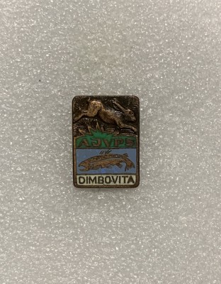 Insigna v&amp;acirc;nătoare AJVPS Dimbovita foto