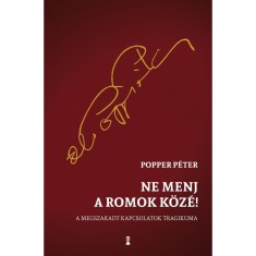 Ne menj a romok k&ouml;z&eacute;! - A megszakadt kapcsolatok tragikuma - Popper P&eacute;ter