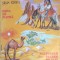 Disc vinil, LP. OMUL DE PIATRA, FLUTURELE GALBEN DE O ZI-SILVIA KERIM-243449
