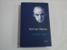 LAPTELE NEGRU - NORMAN MANEA foto