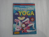 ELEMENTE DE YOGA - GODFREY DEVEREUX