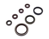 Set simeringuri motor Sherco SE-R 250 300 14- 20 Athena P400462400001