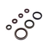 Set simeringuri motor Sherco SE-R 250 300 14- 20 Athena P400462400001