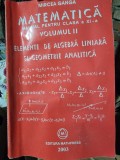 MATEMATICA - MIRCEA GANGA Vol.II