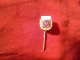 Insigna veche AFA - Asociatia Fotbal Argentina , metal si email , h=1,4cm