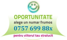 Numar Orange cu 6 ANI VECHIME - 0757.699.88x - usor aur gold cartela numere usoare cartele
