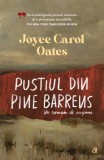 Pustiul din Pine Barrens - Joyce Carol Oates - Curtea Veche