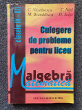 CULEGERE DE PROBLEME PENTRU LICEU Algebra IX-XII Nastasescu, Nita, Brandiburu, ACS