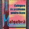 CULEGERE DE PROBLEME PENTRU LICEU Algebra IX-XII Nastasescu, Nita, Brandiburu