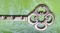 icon 2