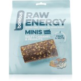 Bombus Raw Energy Minis bară de fructe mini 10x15 g
