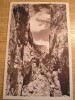 QW24 C - Carte postala - tematica turism - vedere - Cheile Bicazului 3, Necirculata, Fotografie, Neamt