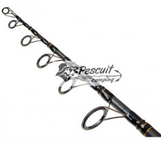 Lanseta TeleCarp FL Strong River, Carbon 3.0m foto