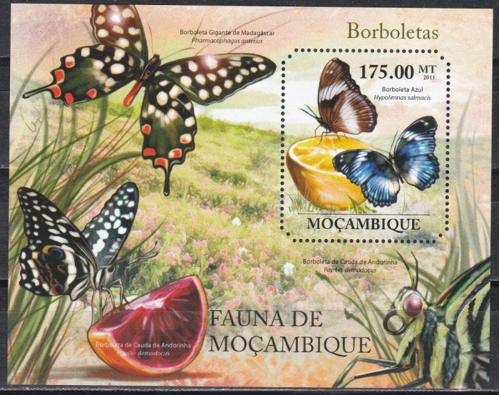 Mozambic 2011 - Fluturi, Colita, MNH