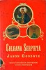 Coloana Serpuita - Jason Goodwin, Rao, Politist, Stare Foarte Buna, Coperta Cartonata, Romana