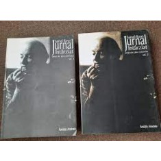Jurnal intarziat, simtiri din afara sistemului (2 volume) - Samuil Rosei