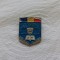 INSIGNA SCOALA DE SUBOFITERI SLATINA 1974-1994 MAI