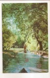 RF55 -Carte Postala- Vedere din Delta Dunarii, circulata 1963