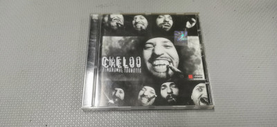 Cheloo - Sindromul Tourette(CD)2003 foto