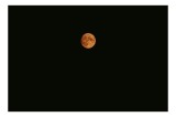 Tablou Canvas, "Luna portocalie pe cerul &icirc;ntunecat", Lună, Portocalie, &Icirc;ntuneric, Cer, Noapte, 39 x 26 cm, CMCLASS