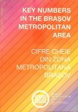 Cifre Cheie Zona Metropolitana Brasov - Colectiv, Geografie, 2010, 132 pagini