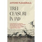 Trei ceasuri in iad&nbsp;- Antonie Plamadeala