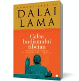 Calea budismului tibetan. Sf&acirc;rşitul suferinţei şi descoperirea fericirii