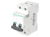 &Icirc;ntrerupător de Supracurent 500VDC 40A 2 Poli C