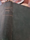 Ion San-Giorgiu - Goethe