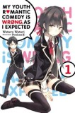 My Youth Romantic Comedy Is Wrong, as I Expected, Vol. 1