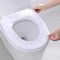 Huse de unica folosinta pentru toaleta, protectie WC 10 buc