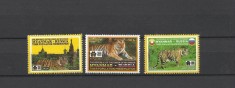 MYANMAR 2022 FAUNA TIGRI foto