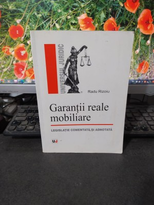 Radu Rizoiu, Garanții reale mobiliare, Universul Juridic, București 2006, 166 foto