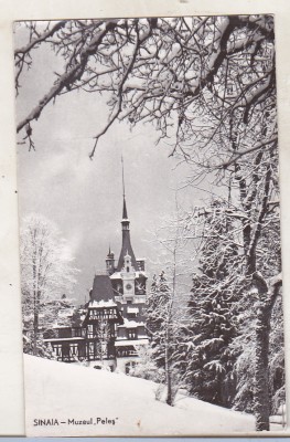 bnk cp Sinaia - Muzeul Peles - uzata foto
