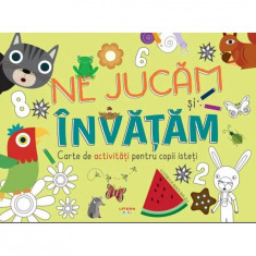 Ne Jucam Si Invatam. Carte De Activitati Pentru Copii Isteti, - Editura Litera