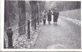 Bnk foto - Sinaia - Drumul spre Castelul Peles - anii `70, Alb-Negru, Romania de la 1950, Cladiri