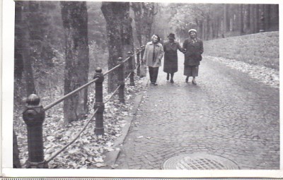 bnk foto - Sinaia - Drumul spre Castelul Peles - anii `70 foto