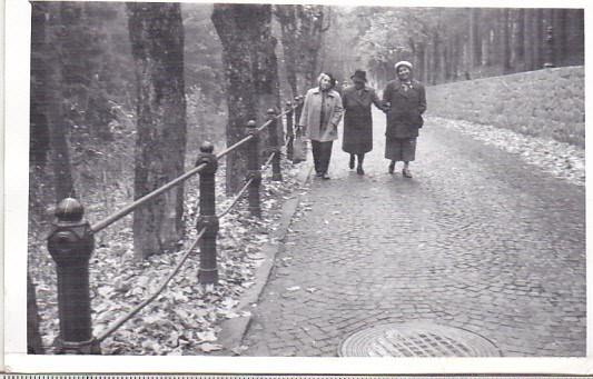 bnk foto - Sinaia - Drumul spre Castelul Peles - anii `70