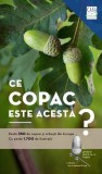 Carte Ce copac este acesta? 350+ Copaci Arbusti Europa 1700+ Ilustratii Margot Roland Spohn Non-fictiune
